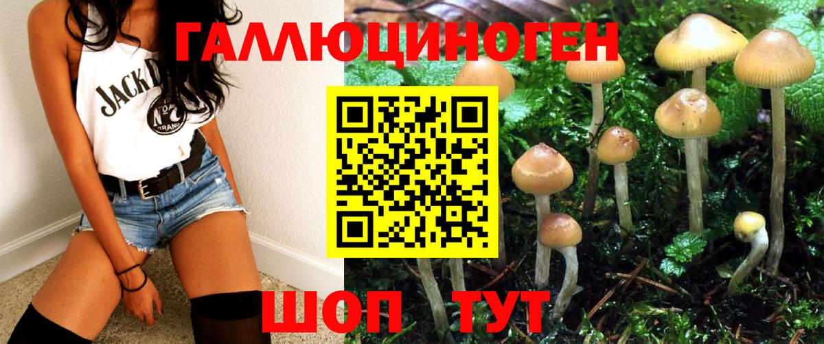Галлюциногенные грибы прущие грибы Зеленогорск